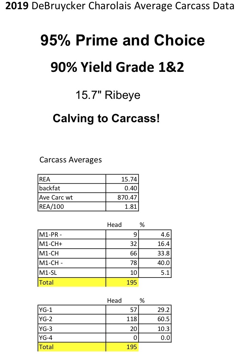 2019 DeBruycker Charolais Carcass Data Overall Summary