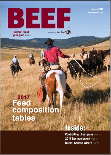 BEEF magazine