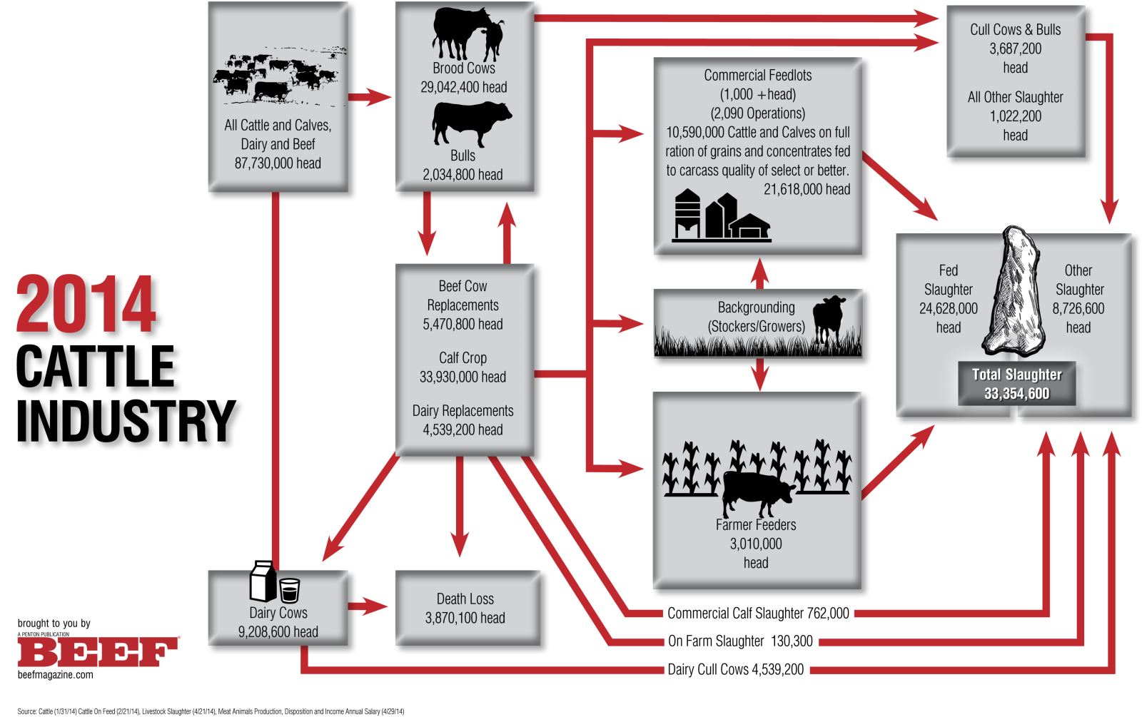 Cattle Line Chart