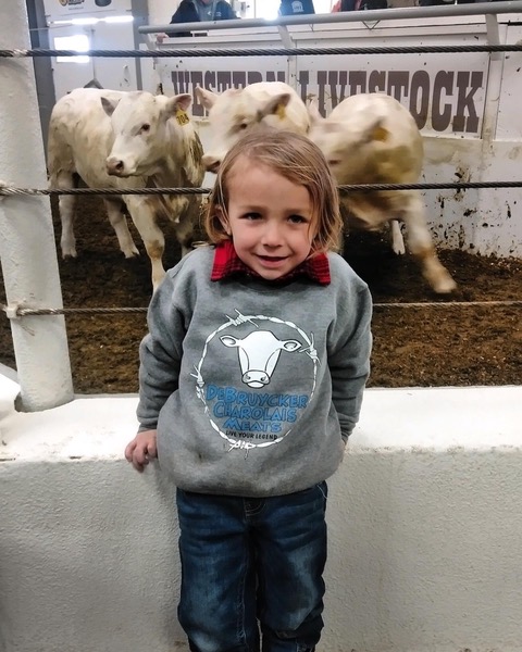 Girl standing next to bull pen at the DeBruycker Charolais annual bull sale in Montana 2022