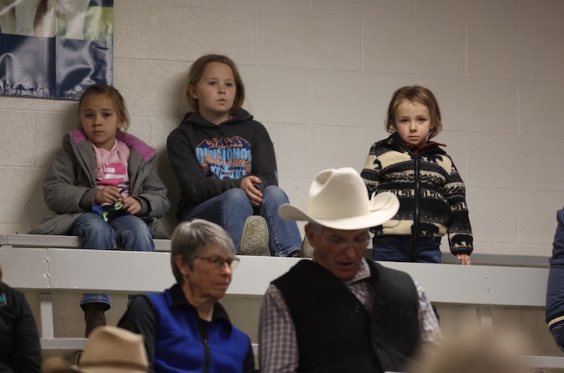 Kids watching Debruycker Charolais bull sale