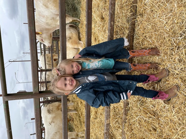 Kids standing next to bull pen at the DeBruycker Charolais annual bull sale 2022