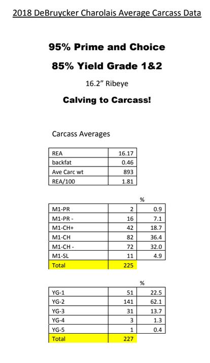 DeBruycker charolais carcass data average 2018