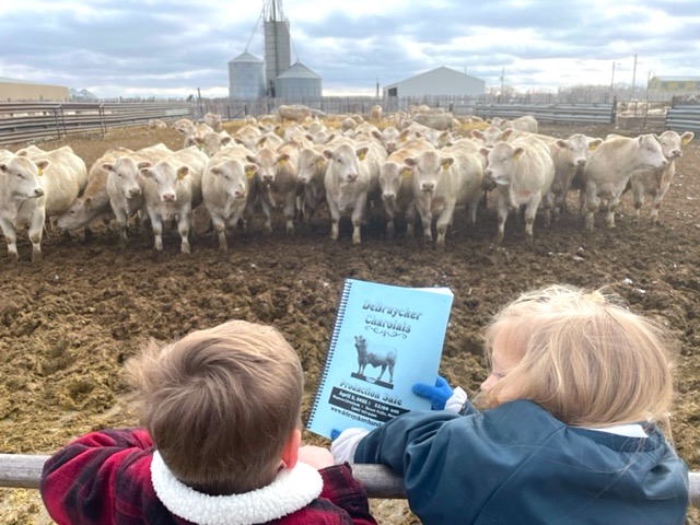 two kids hold catalog in front of herd of bulls