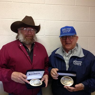 Charolais feed sale