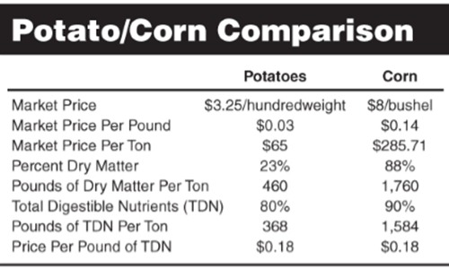 Corn as Feed Source